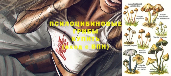 крисы Бежецк