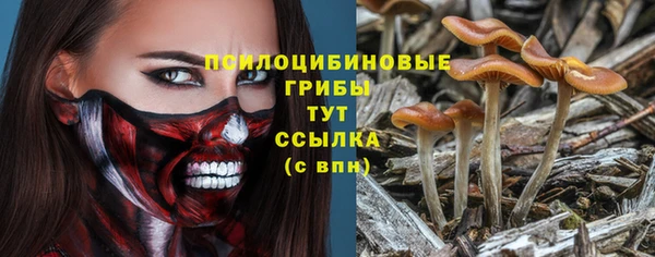 гидра Бикин