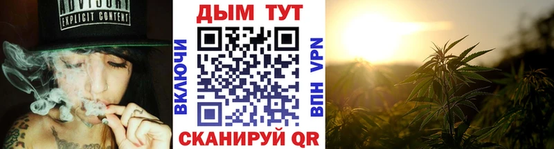 Бошки Шишки ГИДРОПОН  закладка  Зубцов 