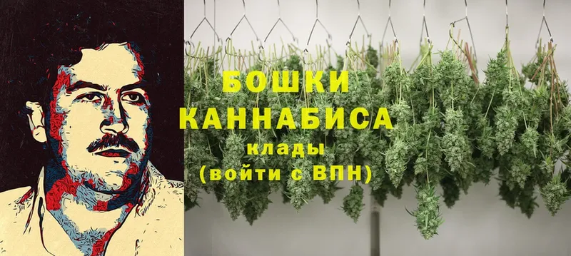 Марихуана THC 21%  даркнет сайт  Зубцов 